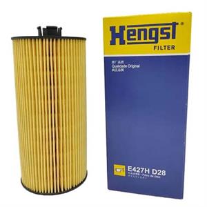 ELEMENTO FILTRO OLEO MAN D08 2018/ E427HD28
