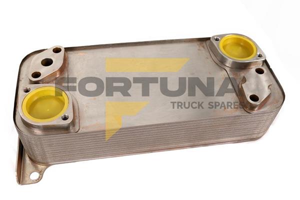 RADIADOR OLEO RETARDER CAMBIO SCANIA GRSO FTS11721 