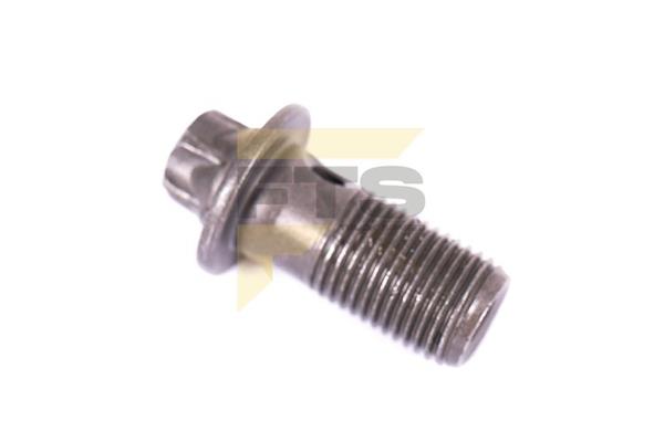 PARAFUSO VAZADO INJETOR PISTAO SCANIA S5/PGR TORKS FTS5214 