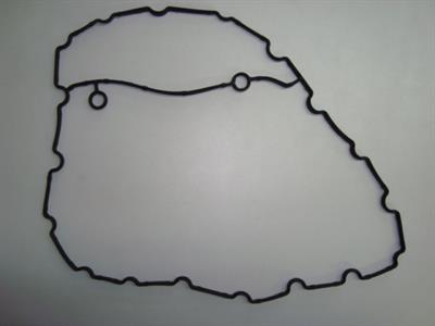 JUNTA TAMPA TRASEIRA MOTOR STRALIS HD RDA1047 